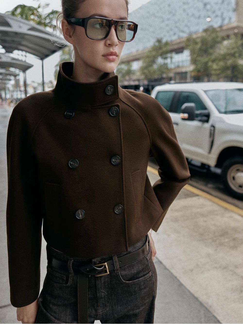 Zara Short High Collar Jacket
